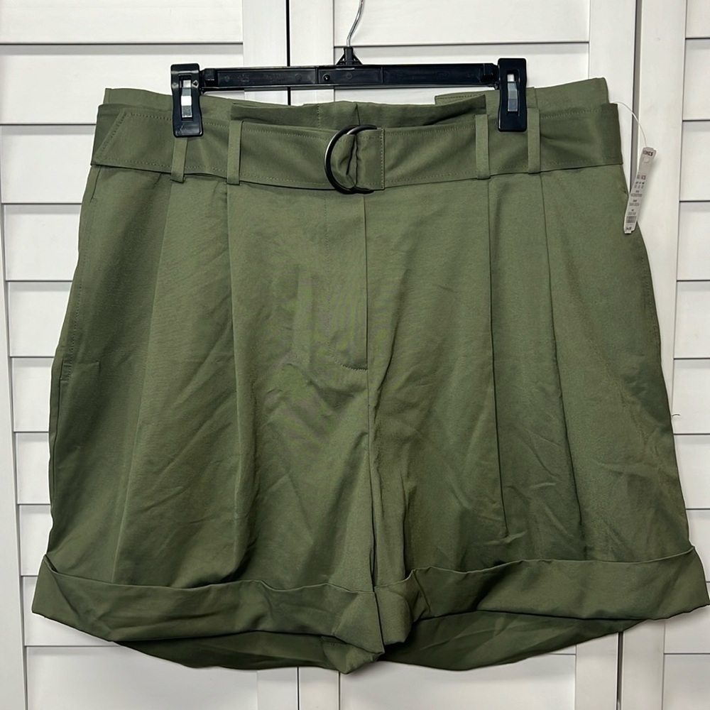 Elizabeth and James || NWT|| High Waisted Pleated Belted Shorts - Picture 3 of 16